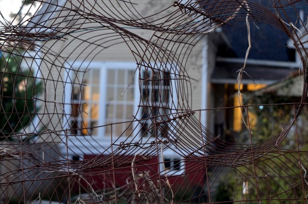 Winter View Through Stacked Tomato Cages
