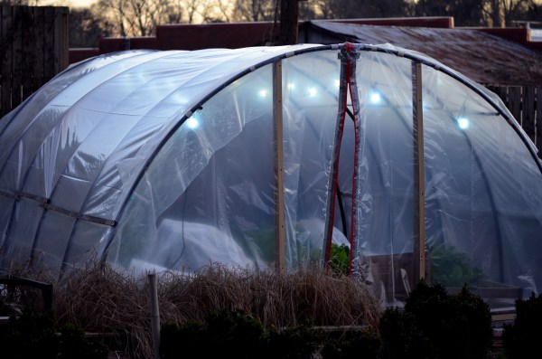 String Lights for the Holidays (and to harvest lettuce and greens after dusk