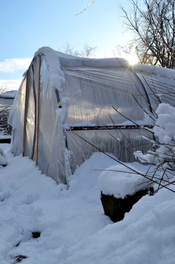 Come on sunshine....