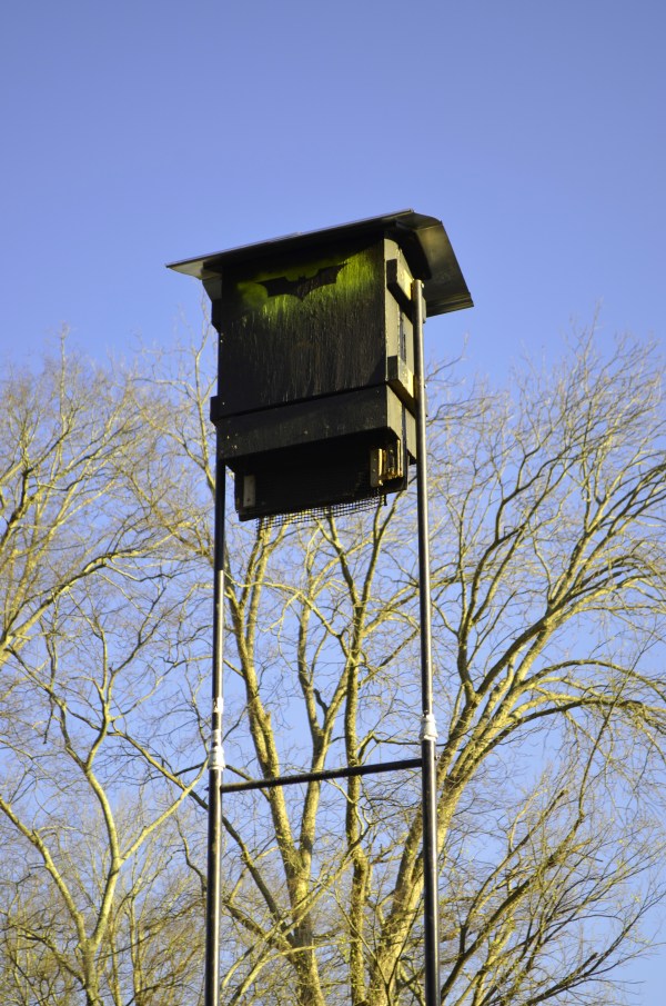 Bat House 2.0 
