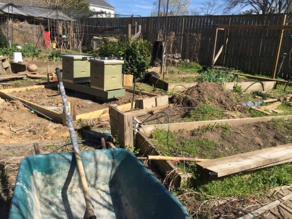 Mayhem, making room for bees